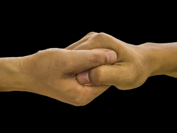 BlueFox Casino Support